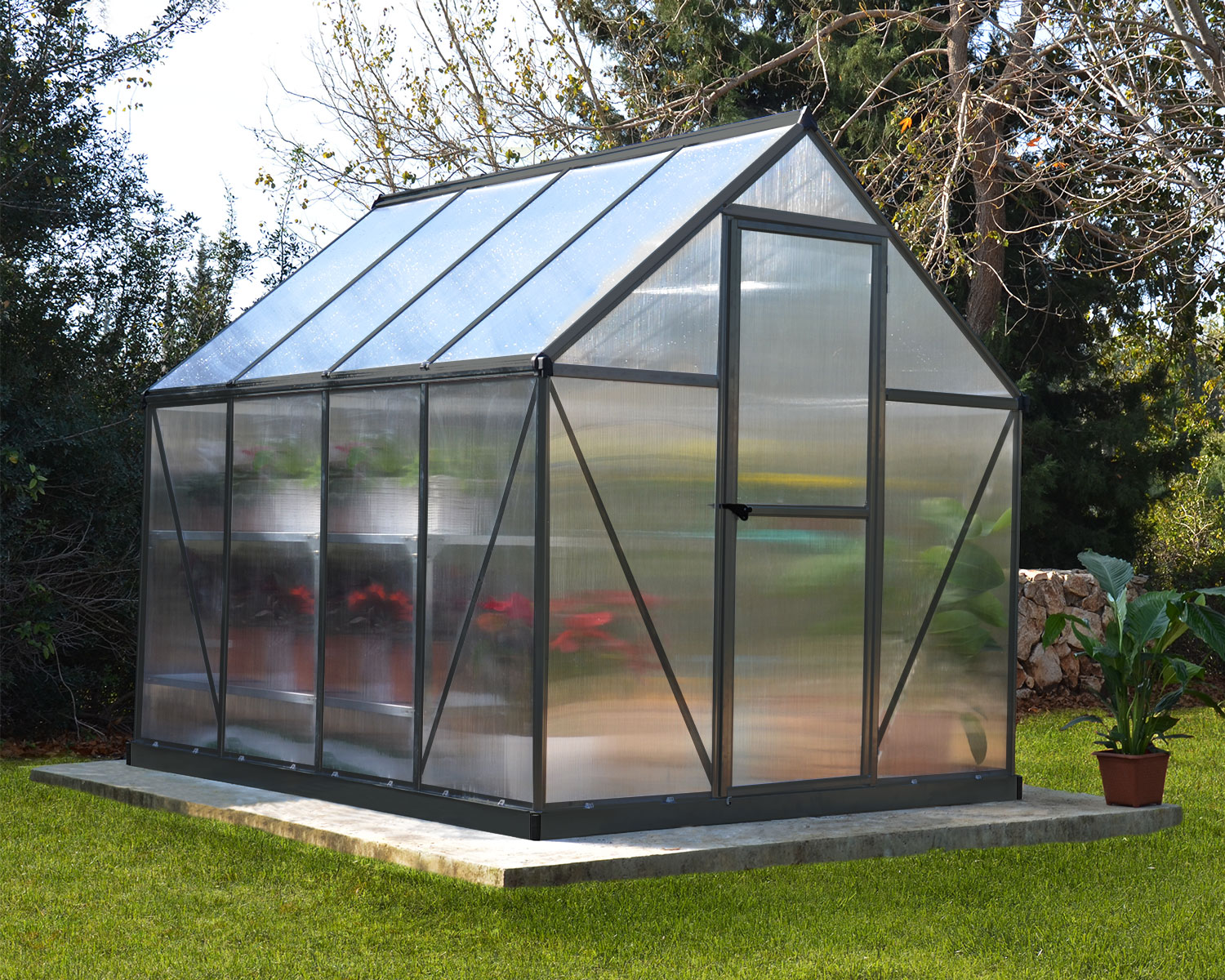 Mythos Greenhouse - Image 3