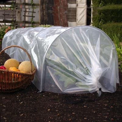 Giant Easy Poly Tunnel