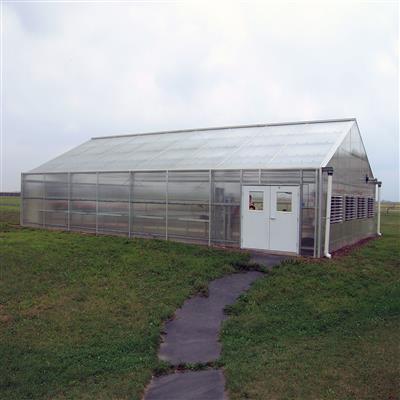 Senior Teaching Package Greenhouse - Image 4