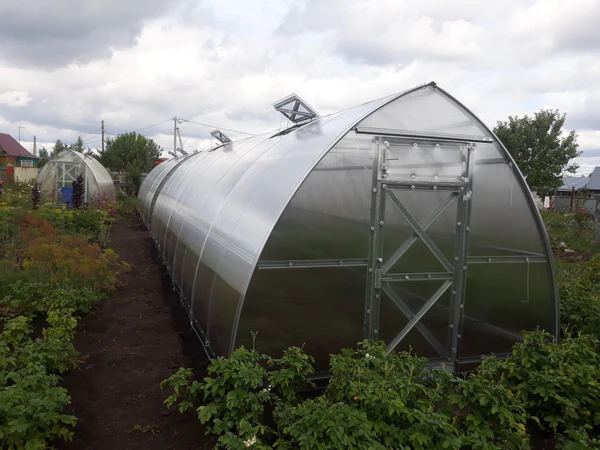 Sungrow 20 Greenhouse - Image 6