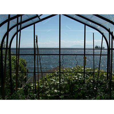 Pacific Glass Greenhouse - Image 4