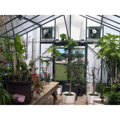 Traditional Fivewall Polycarbonate Greenhouse - Image 5