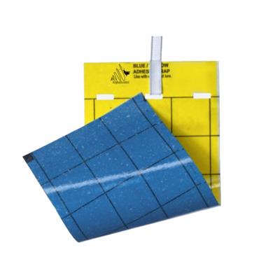 Blue/yellow Sticky Card | 5/Pack