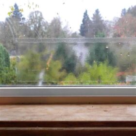 Window Bug Catcher Trap | 5/Pack