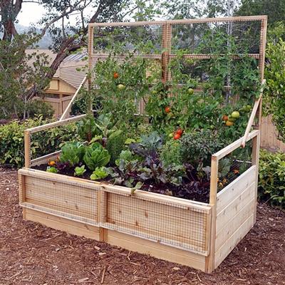 Garden in a Box - Image 3