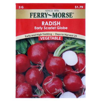Radish, Scarlet Globe, Seed Packet - Image 2